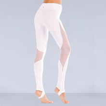 Load image into Gallery viewer, Mesh Insert Normal Active Leggings - Abershoes